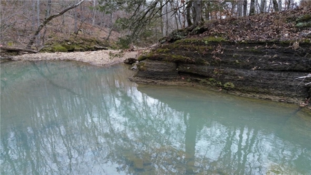 106 Ac Wooded Hunting or Building Land with Pond & Creek For Sale - image 1