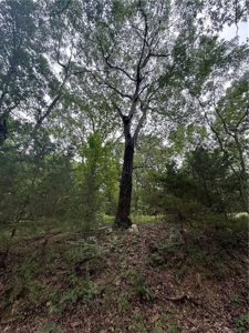 LOG Cabin Country Home on 133.50 Wildlife Acres For Sale - image 46
