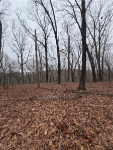 106 Ac Wooded Hunting or Building Land with Pond & Creek For Sale - image 6