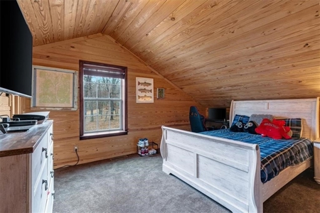LOG Cabin Country Home on 133.50 Wildlife Acres For Sale - image 26