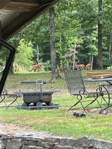 LOG Cabin Country Home on 133.50 Wildlife Acres For Sale - image 6