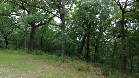 106 Ac Wooded Hunting or Building Land with Pond & Creek For Sale - image 14
