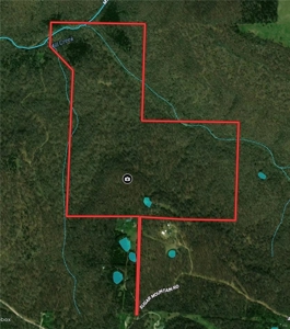 106 Ac Wooded Hunting or Building Land with Pond & Creek For Sale - image 7