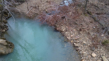106 Ac Wooded Hunting or Building Land with Pond & Creek For Sale - image 2