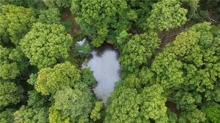 106 Ac Wooded Hunting or Building Land with Pond & Creek For Sale - image 11