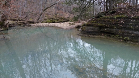 106 Ac Wooded Hunting or Building Land with Pond & Creek For Sale - image 24