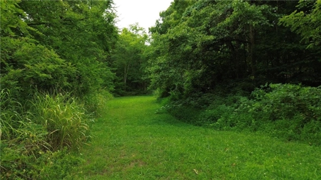 106 Ac Wooded Hunting or Building Land with Pond & Creek For Sale - image 12