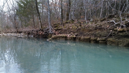 106 Ac Wooded Hunting or Building Land with Pond & Creek For Sale - image 26
