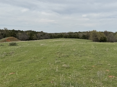 Hinton Hunting Ranch - image 26
