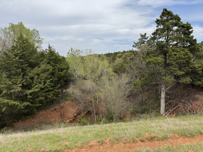 Hinton Hunting Ranch - image 17