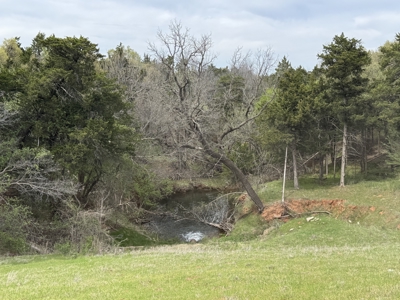 Hinton Hunting Ranch - image 18
