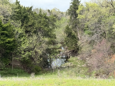 Hinton Hunting Ranch - image 23