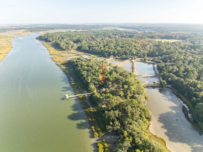 Discover a slice of Lowcountry paradise w/8 ac & deep water! - image 19