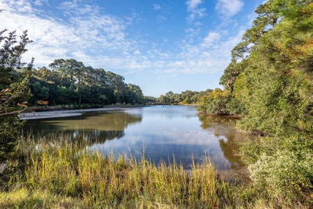Discover a slice of Lowcountry paradise w/8 ac & deep water! - image 6