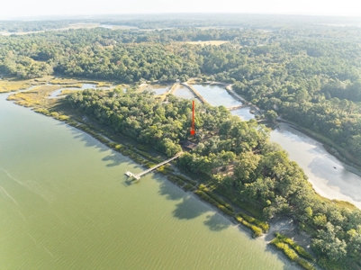 Discover a slice of Lowcountry paradise w/8 ac & deep water! - image 18