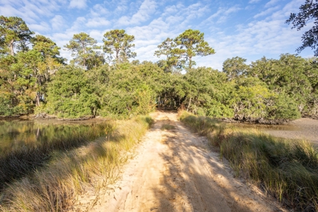 Discover a slice of Lowcountry paradise w/8 ac & deep water! - image 8