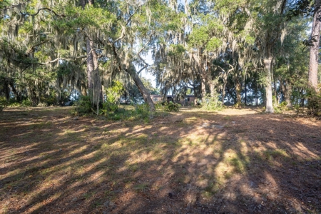 Discover a slice of Lowcountry paradise w/8 ac & deep water! - image 9