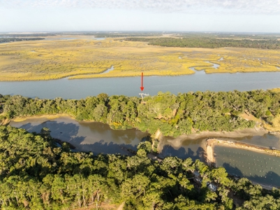 Discover a slice of Lowcountry paradise w/8 ac & deep water! - image 21
