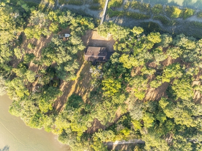 Discover a slice of Lowcountry paradise w/8 ac & deep water! - image 4