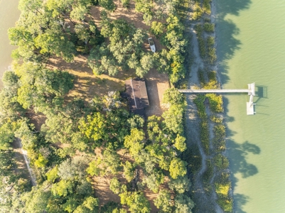 Discover a slice of Lowcountry paradise w/8 ac & deep water! - image 5