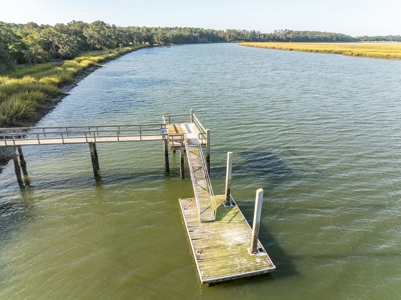 Discover a slice of Lowcountry paradise w/8 ac & deep water! - image 14