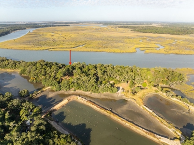 Discover a slice of Lowcountry paradise w/8 ac & deep water! - image 1