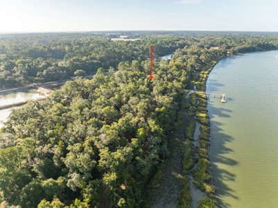 Discover a slice of Lowcountry paradise w/8 ac & deep water! - image 25