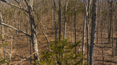 Wooded Retreat Greene County Tennessee Chukey Community - image 2