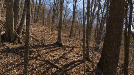 Wooded Retreat Greene County Tennessee Chukey Community - image 4