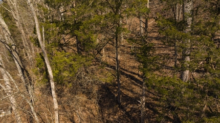 Wooded Retreat Greene County Tennessee Chukey Community - image 21