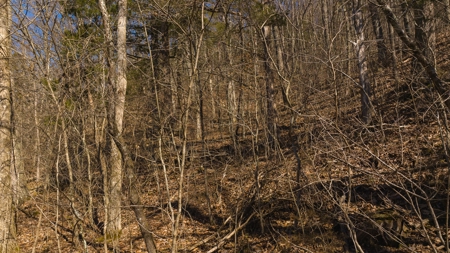 Wooded Retreat Greene County Tennessee Chukey Community - image 18