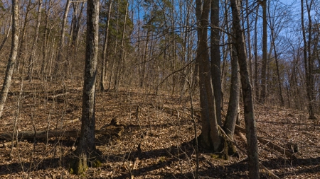 Wooded Retreat Greene County Tennessee Chukey Community - image 23