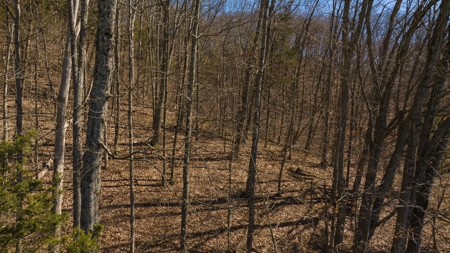 Wooded Retreat Greene County Tennessee Chukey Community - image 20