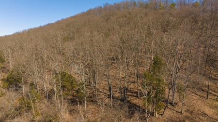 Wooded Retreat Greene County Tennessee Chukey Community - image 17