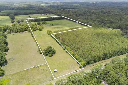 28+ Acres In Alachua, Fl! - image 6