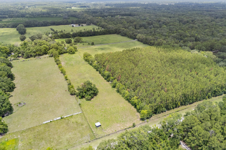 28+ Acres In Alachua, Fl! - image 8