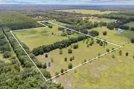 28+ Acres In Alachua, Fl! - image 5