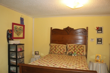 Mini Farm and Homestead in Clinton Arkansas - image 11