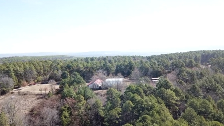 Mini Farm and Homestead in Clinton Arkansas - image 4