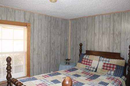 Mini Farm and Homestead in Clinton Arkansas - image 14