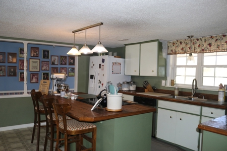 Mini Farm and Homestead in Clinton Arkansas - image 20