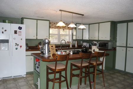 Mini Farm and Homestead in Clinton Arkansas - image 22