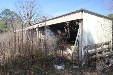 Mini Farm and Homestead in Clinton Arkansas - image 43