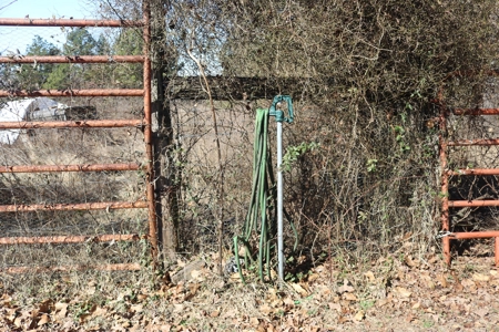 Mini Farm and Homestead in Clinton Arkansas - image 47