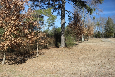 Mini Farm and Homestead in Clinton Arkansas - image 36