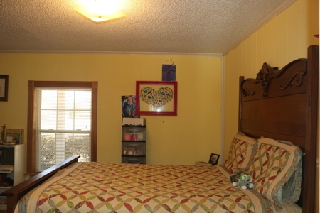 Mini Farm and Homestead in Clinton Arkansas - image 10