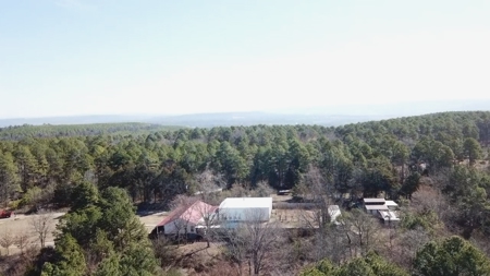 Mini Farm and Homestead in Clinton Arkansas - image 5