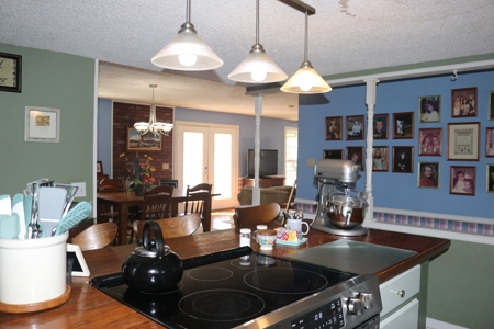 Mini Farm and Homestead in Clinton Arkansas - image 21