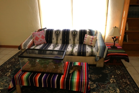 301 E Kerr Home For Sale Sanderson, Tx Terrell County - image 32