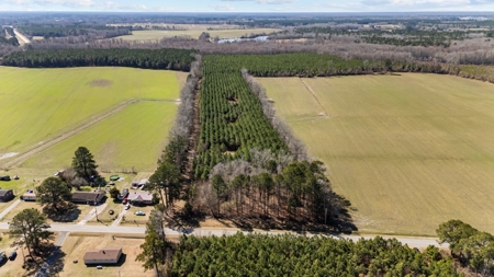 56 Acres of Hunting Land for Sale in Bertie County - image 6